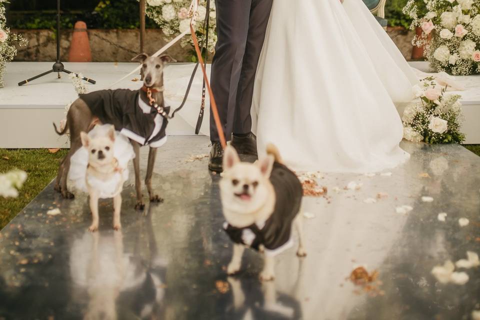 Girona Wedding Film