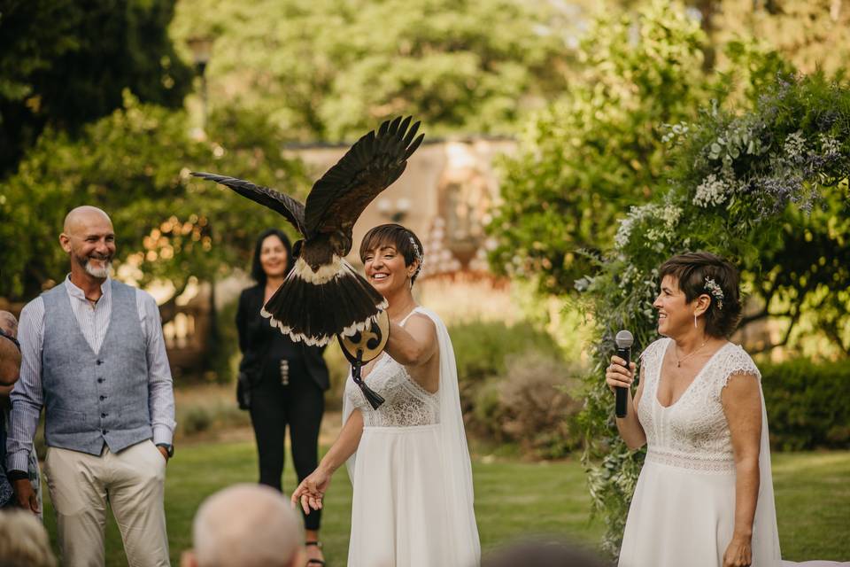 Girona Wedding Film