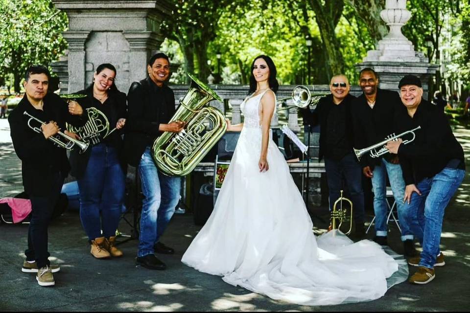 Músicos profesionales