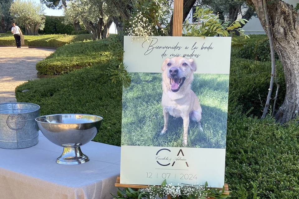 Bienvenidos a nuestra boda