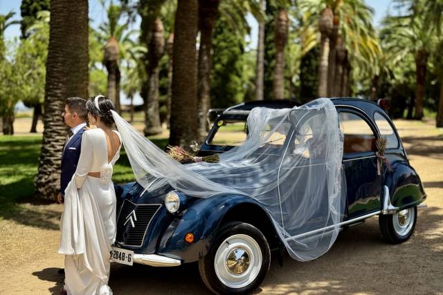 Citroen 2cv-Celebra con Estilo