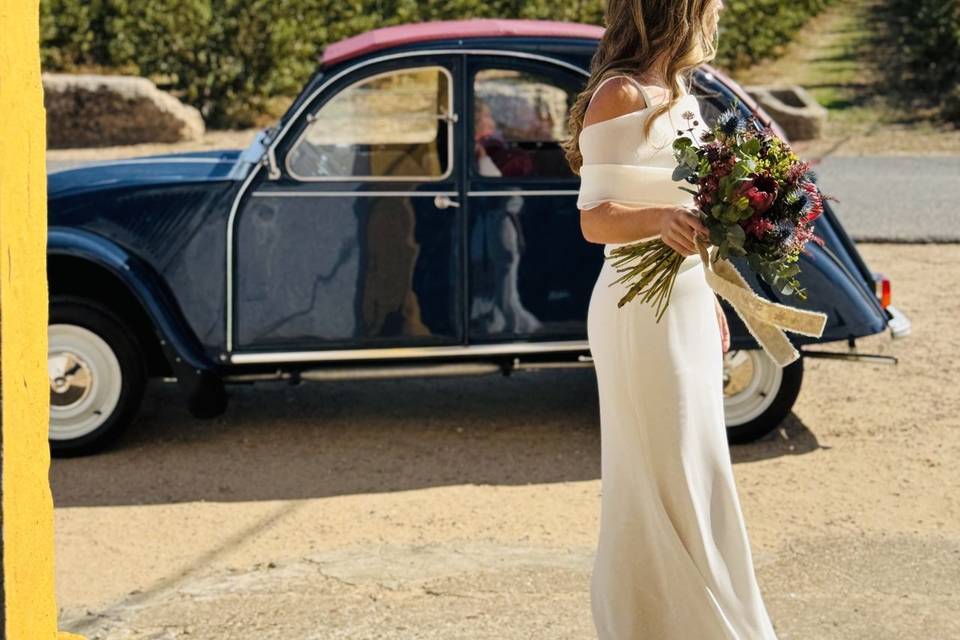 Citroen 2cv-Celebra con Estilo