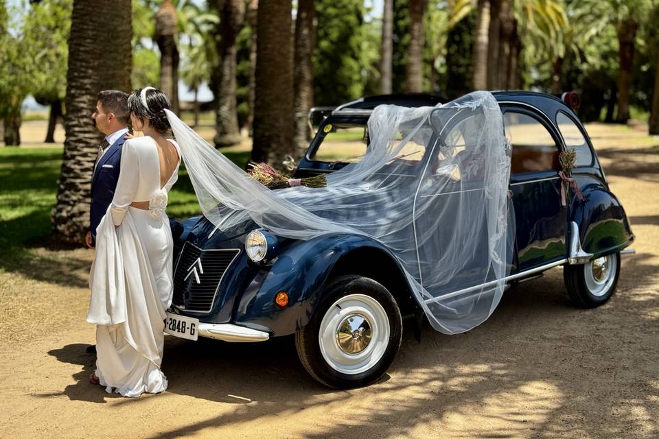 Citroen 2cv-Celebra con Estilo