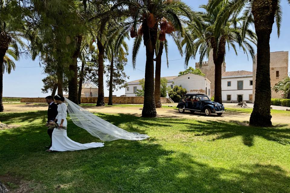 Citroen 2cv-Celebra con Estilo