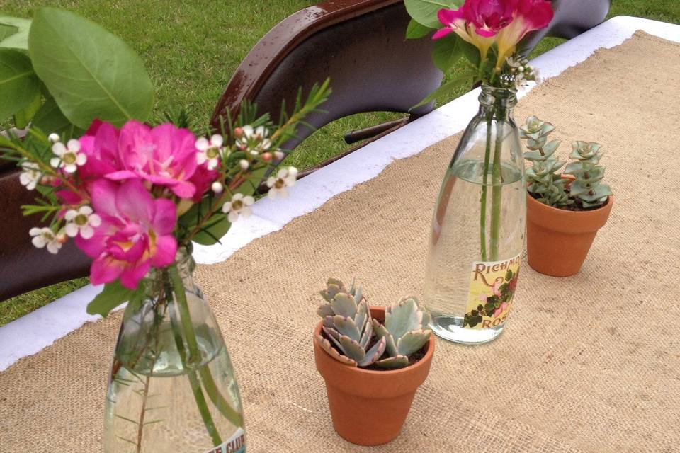 Ani Greene ambientaciones