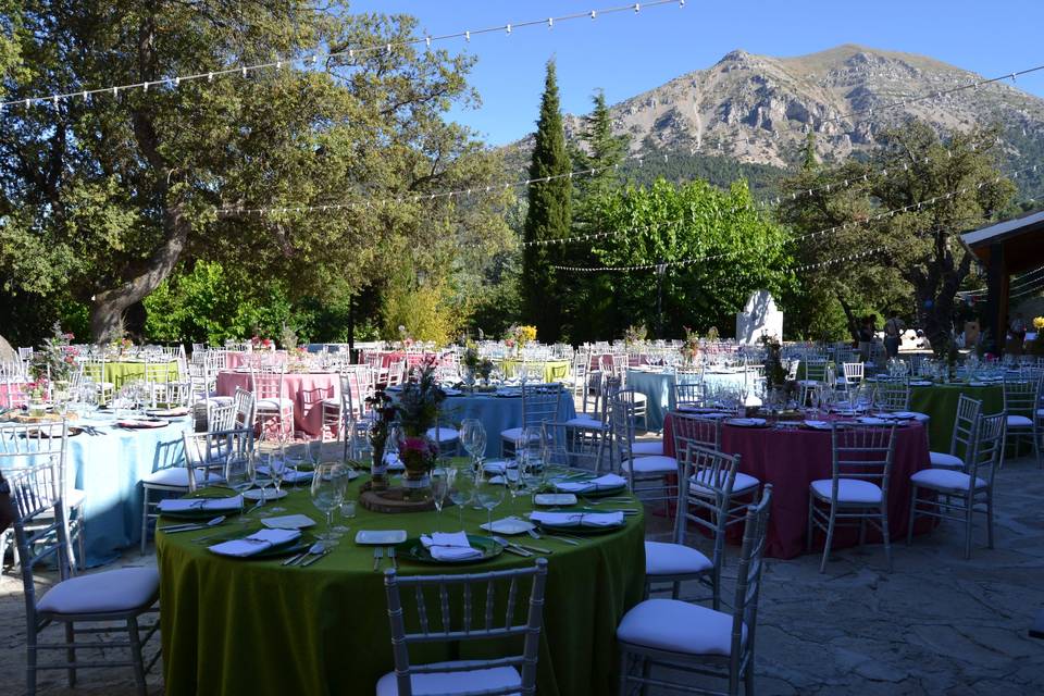 Banquete en carpa