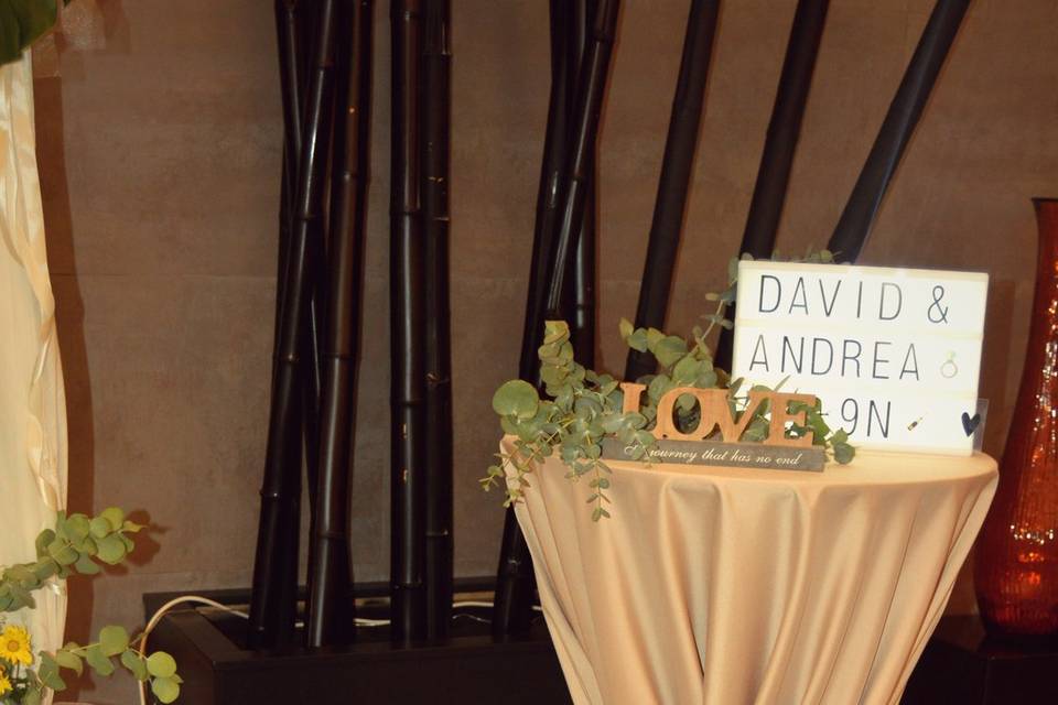 Enlace de Andrea y David.