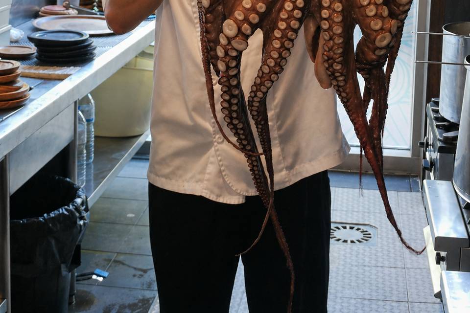 Pulpo antes de cocinarlo.