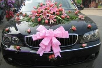 Coche de novia