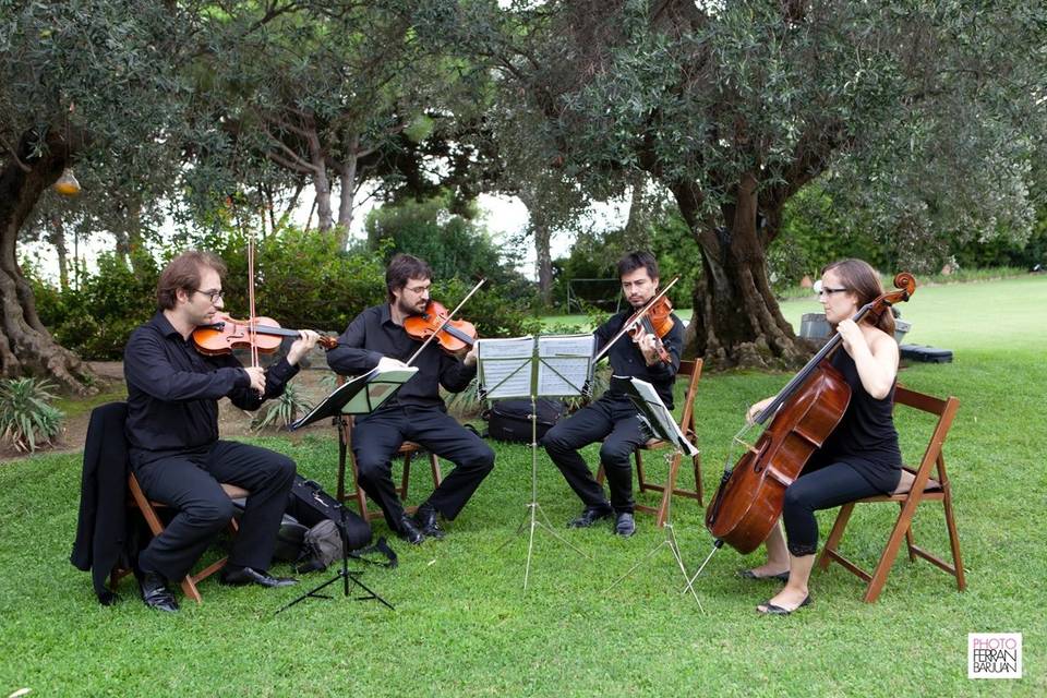 Cuarteto de cuerda - Boda en Barcelona