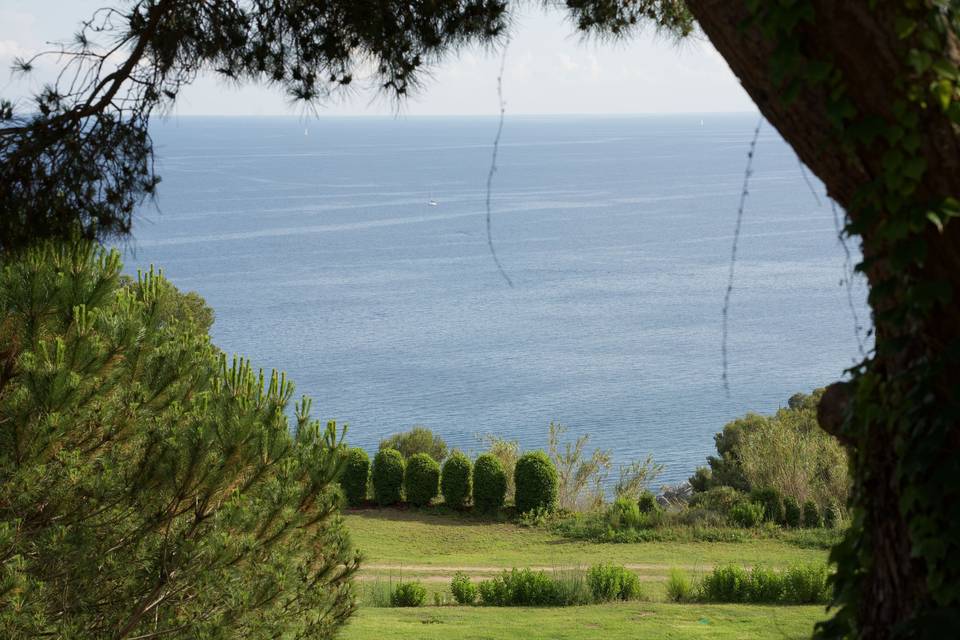 Cala Gran-El Trull