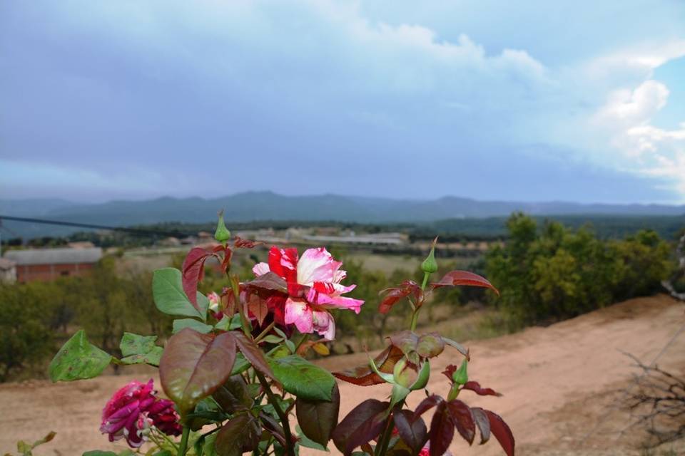 Jardín La Noguera Posada Guadalupe