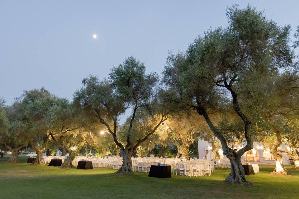 Banquete en jardín