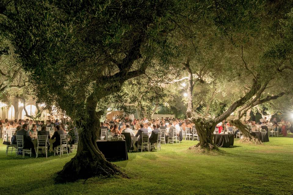 Banquete en jardín