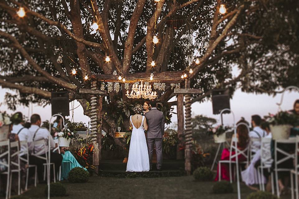 Boda en el campo