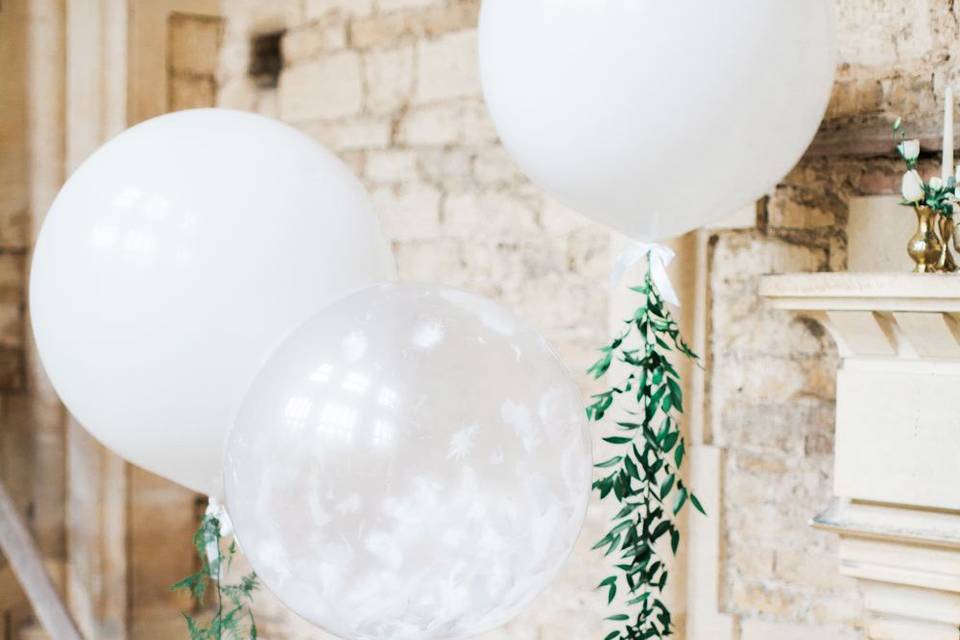 Globos con plantas