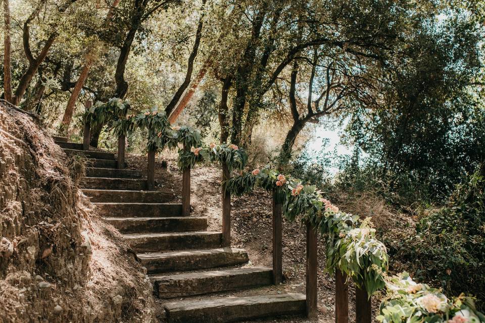 Entrada boda en el bosque