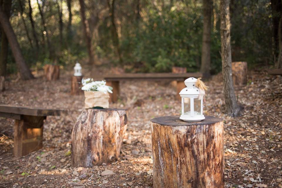 Detalle boda en el bosque