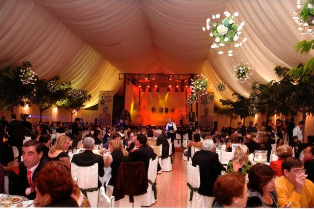 Carpa poligona con baile, telas decorativas, lámparas florales.