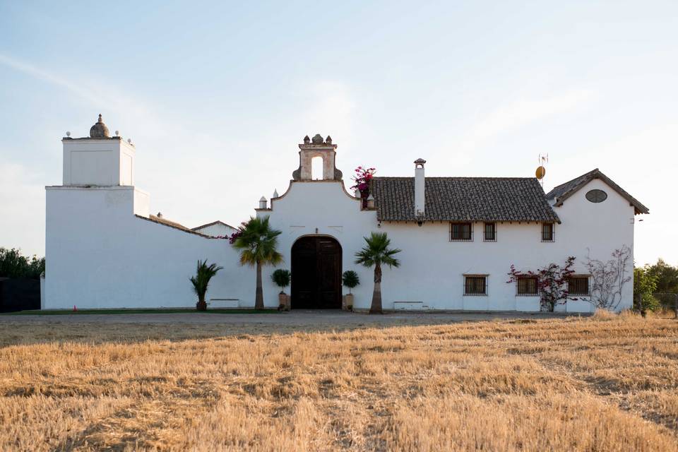 Hacienda Saltillo-Lasso