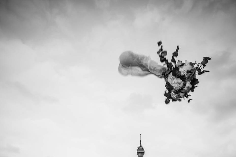 Torre eifel + ramo volador