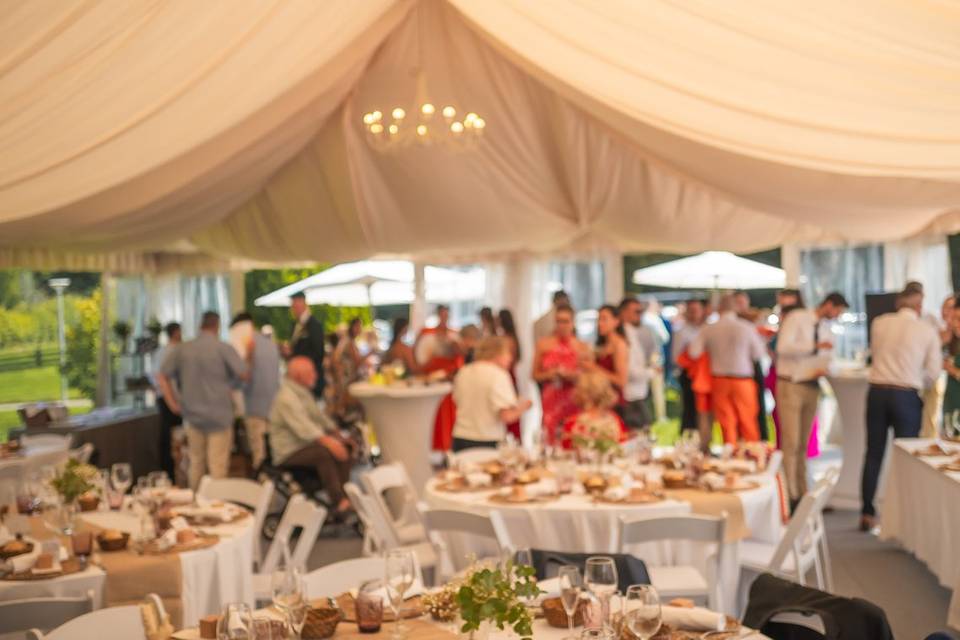 Carpa en casa rural
