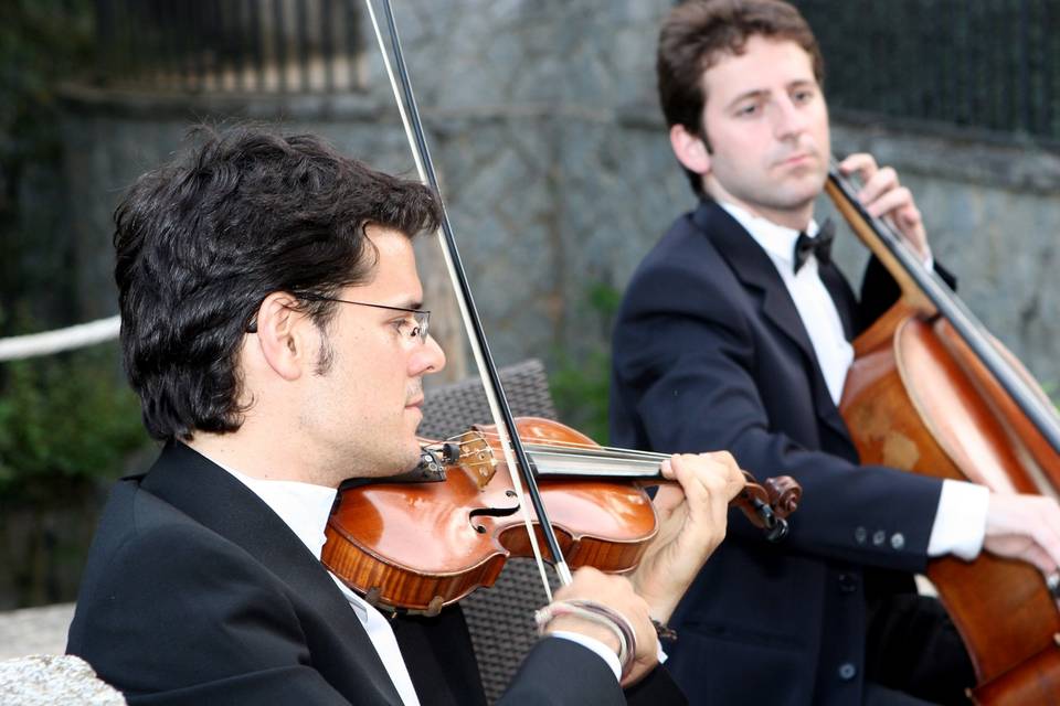 Cuarteto de cuerda