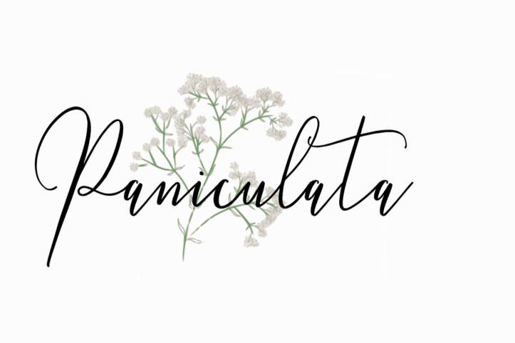 Paniculata Tocados