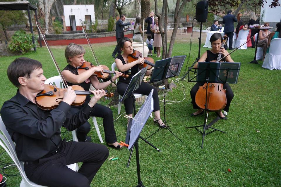 Cuarteto Guadiana