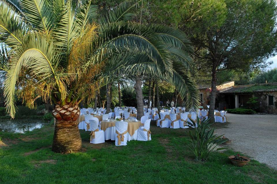 Banquete al aire libre