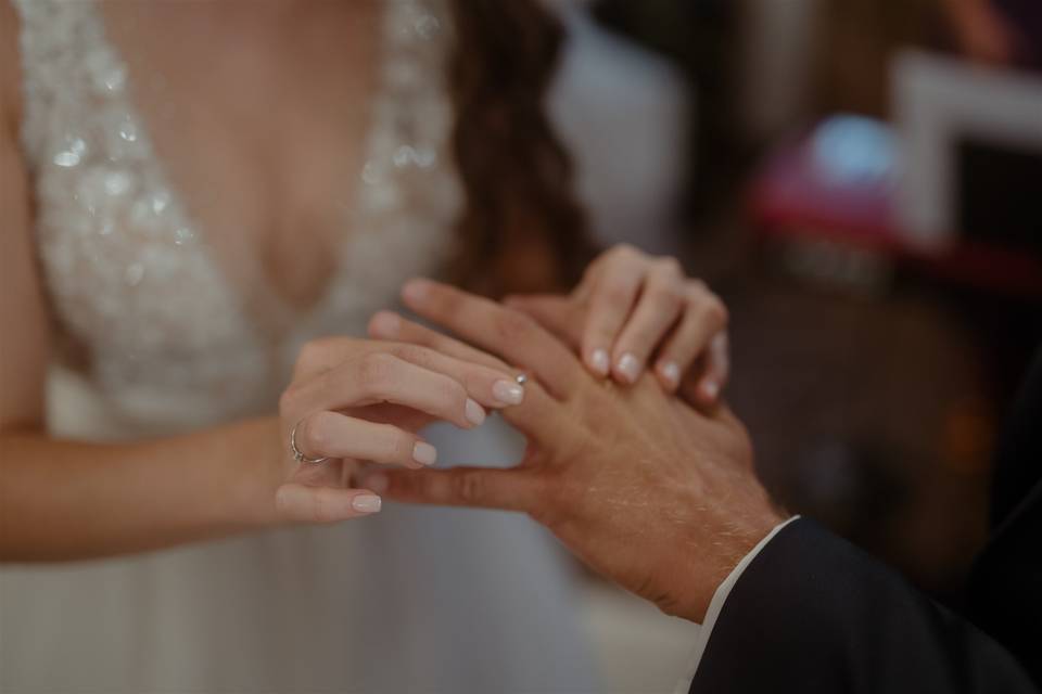 Anillos