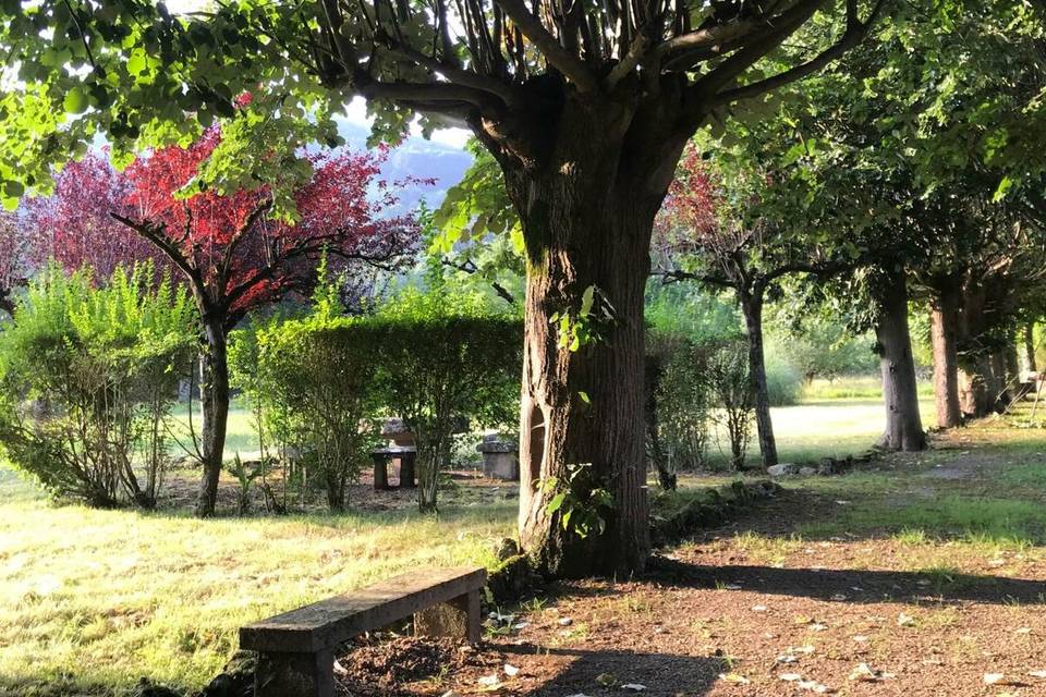 Jardines