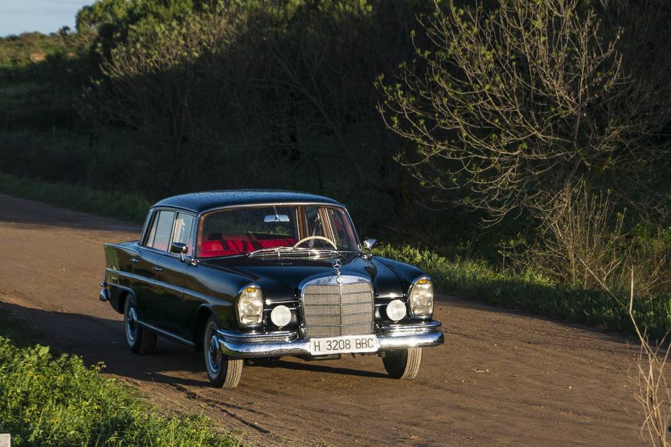 Mercedes para bodas