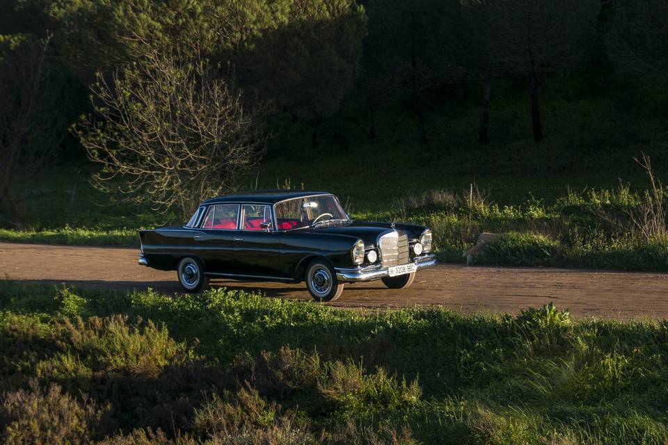 Mercedes para bodas