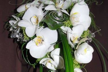 Ramo de novia de orquídeas