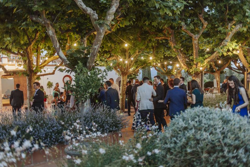 Fiesta en el Patio interior