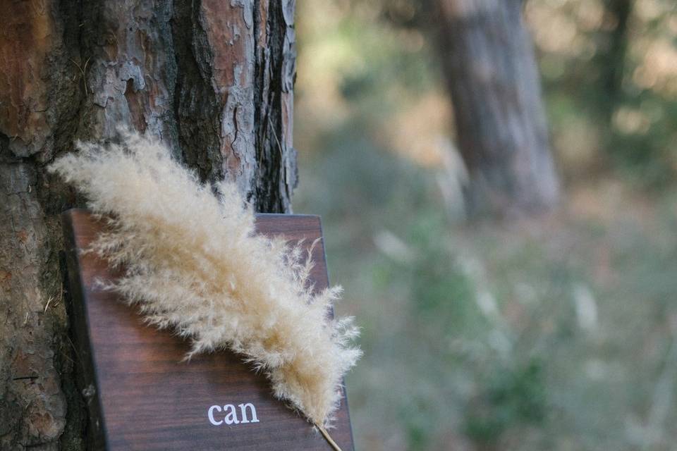 Detalle de ceremonia en el bosque