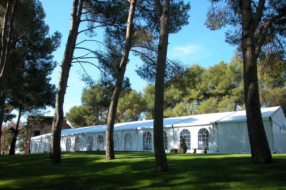 Carpa y parquet para boda