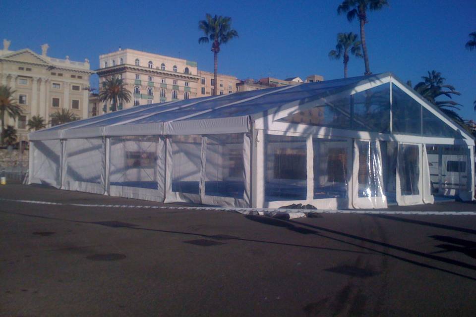 Carpa transparente con tarima