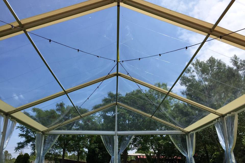 Carpa 10X15 transparente