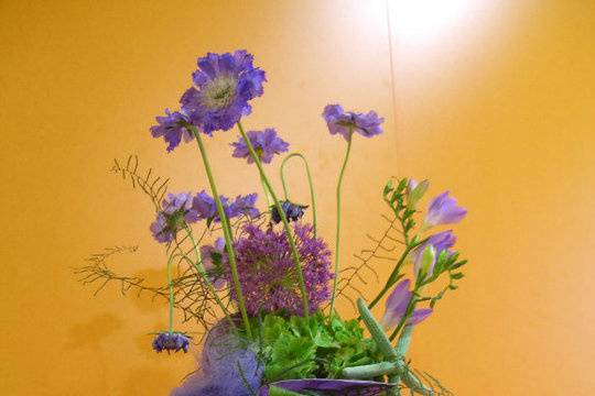 Taller de Flors Muscari