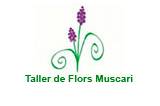 Taller de flors muscari