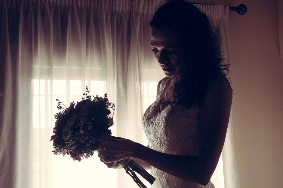 Novia