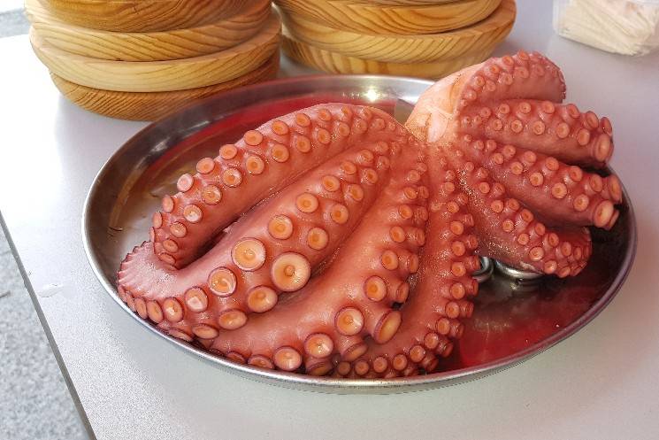 Pulpo