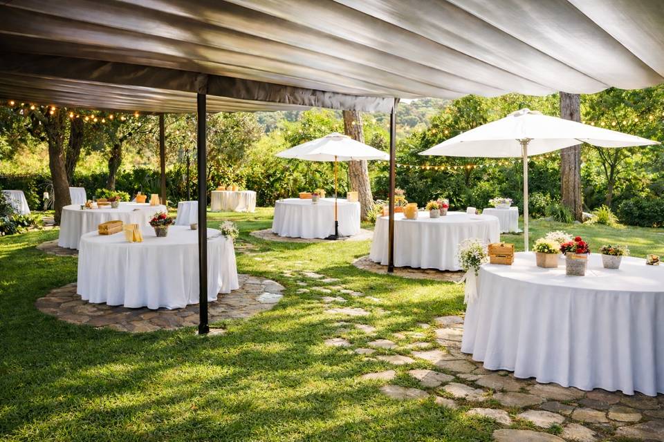 Aperitivos