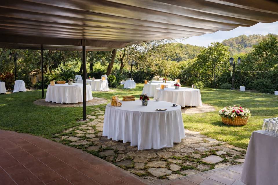 Aperitivos