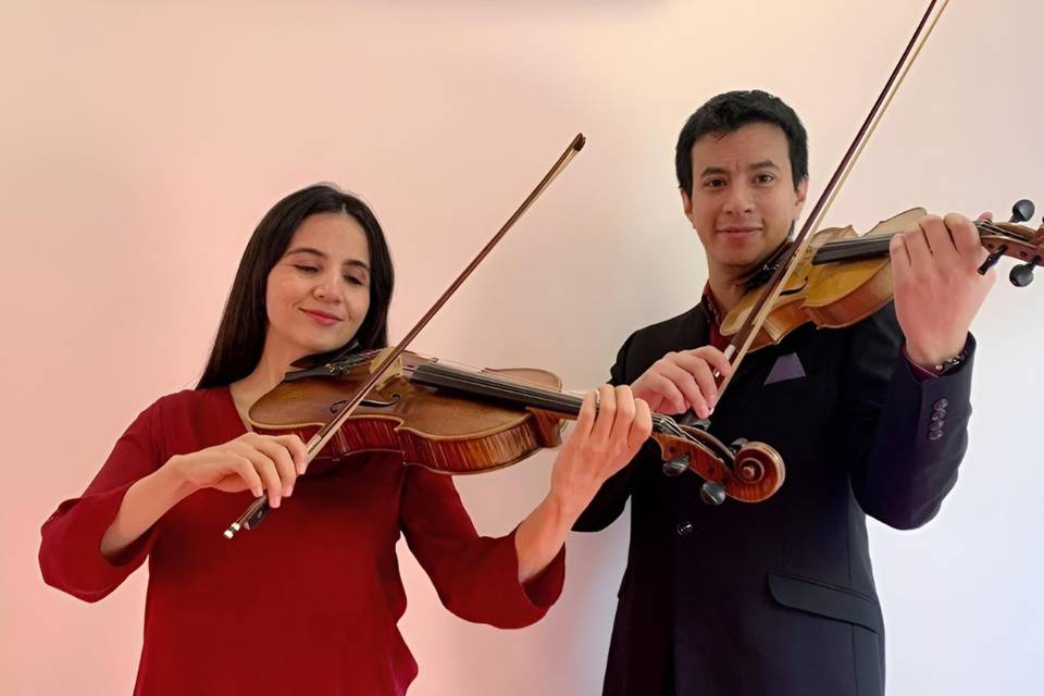 Violín Viola