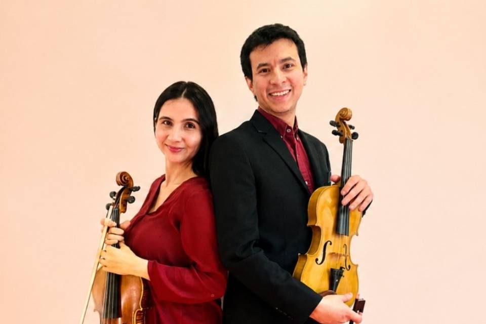 Violín Viola