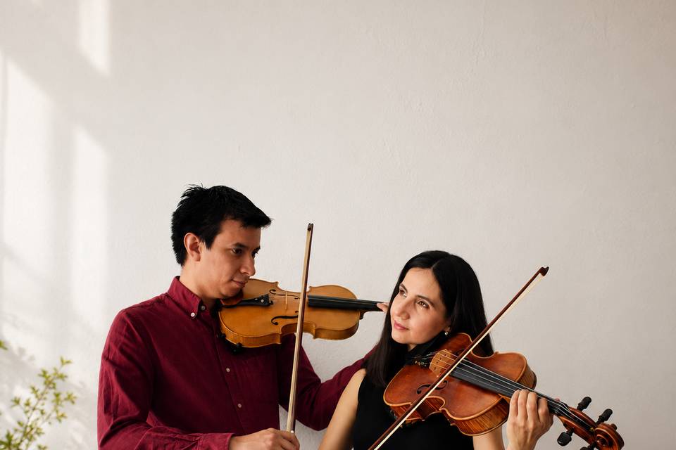 Dúo. Violín Viola
