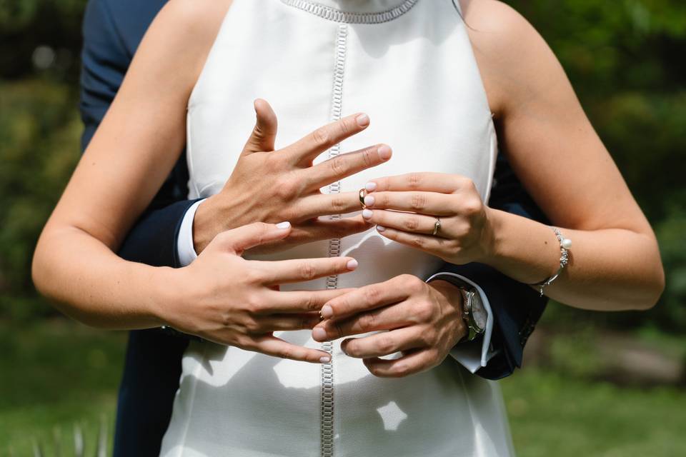Anillos